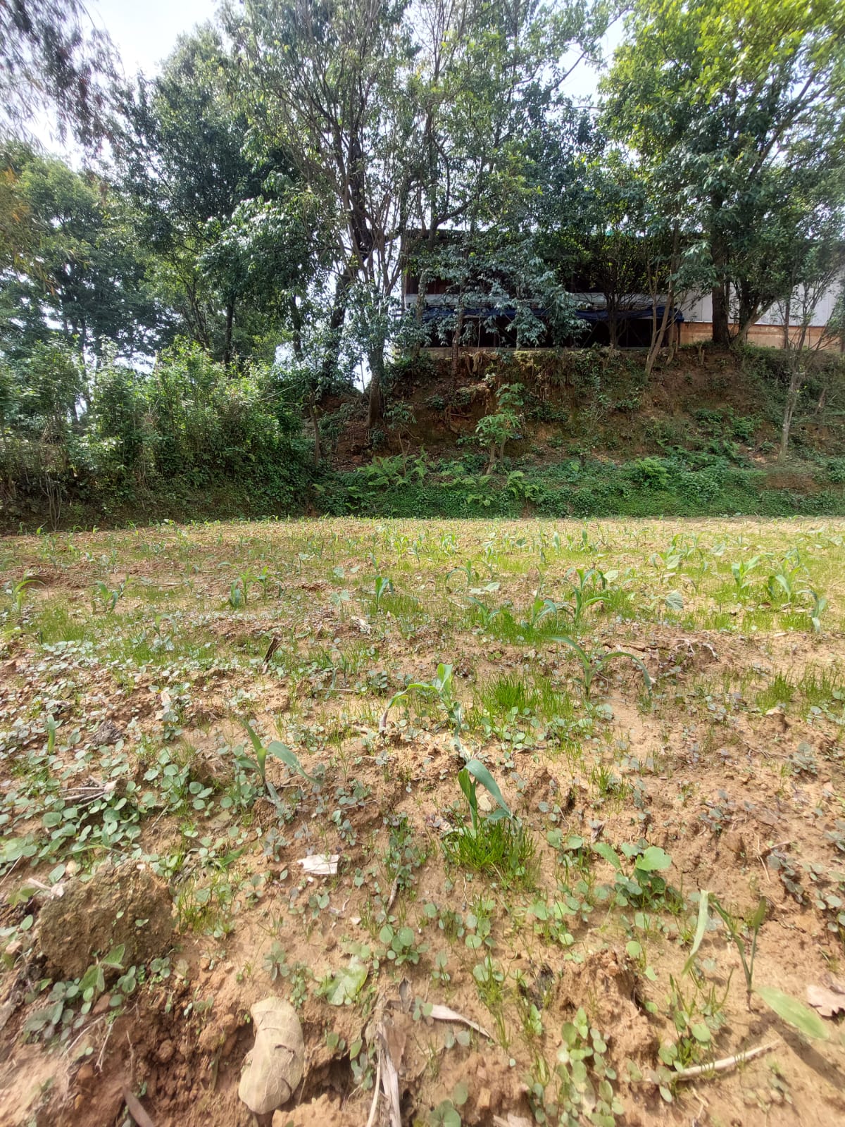 Land for Sale in Ugratara Jungle, Banepa | Prime Residential & Investment Property