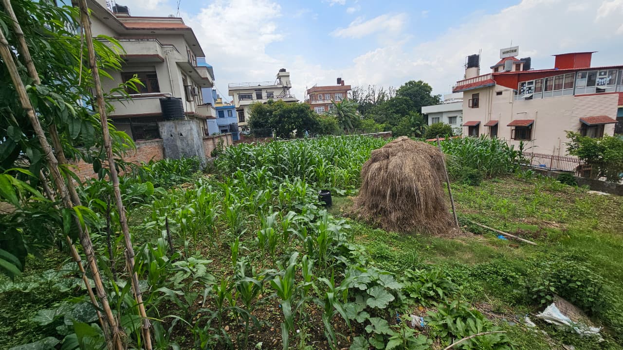 Land for Sale in Bhaisepati, Lalitpur | Prime Location Property
