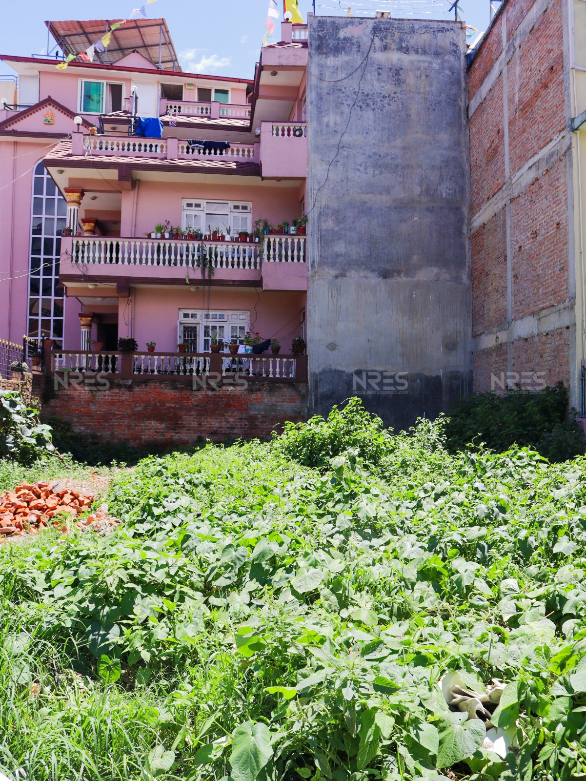 5 Aana Land for Sale in Dhobighat, Lalitpur | South-Facing Plot