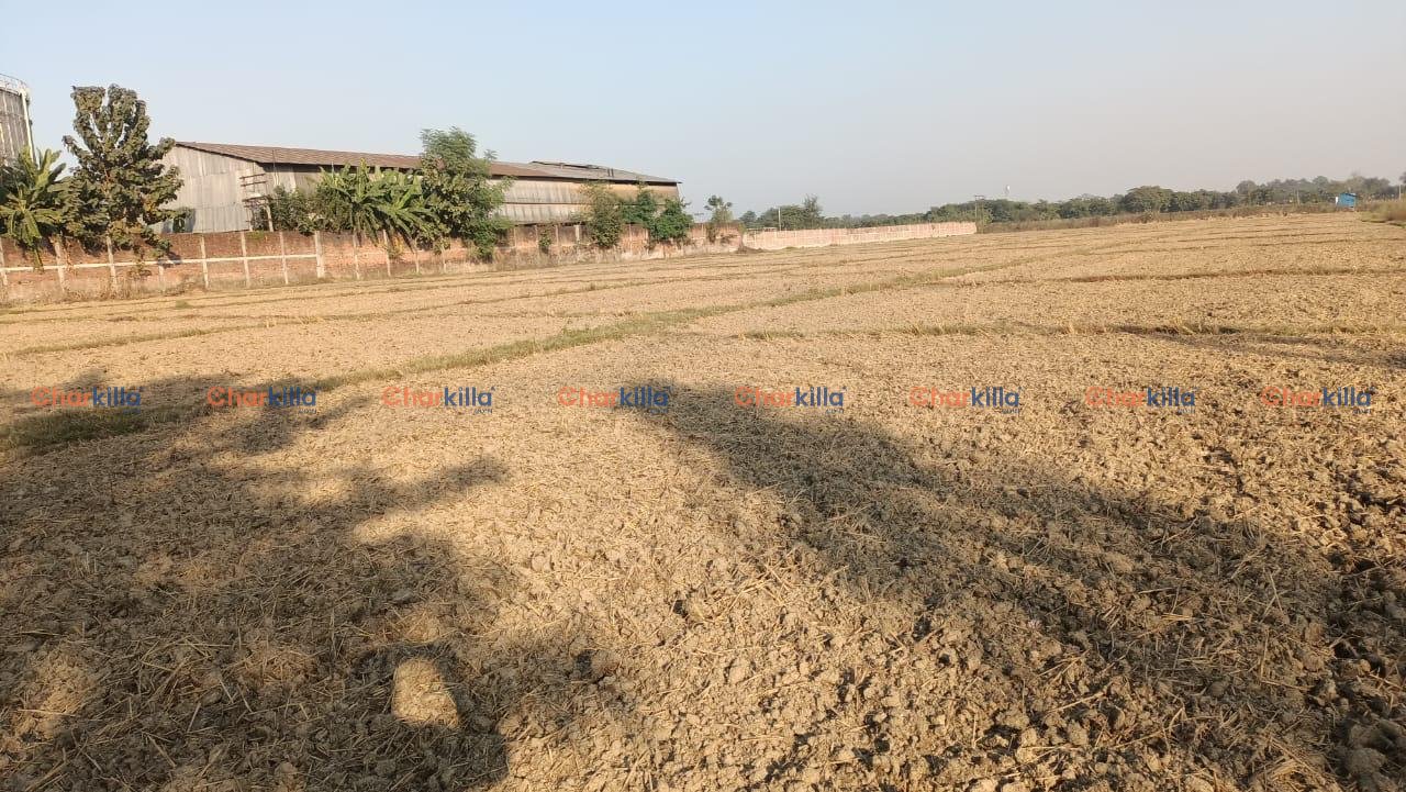 LAND FOR SALE IN LUMBINI