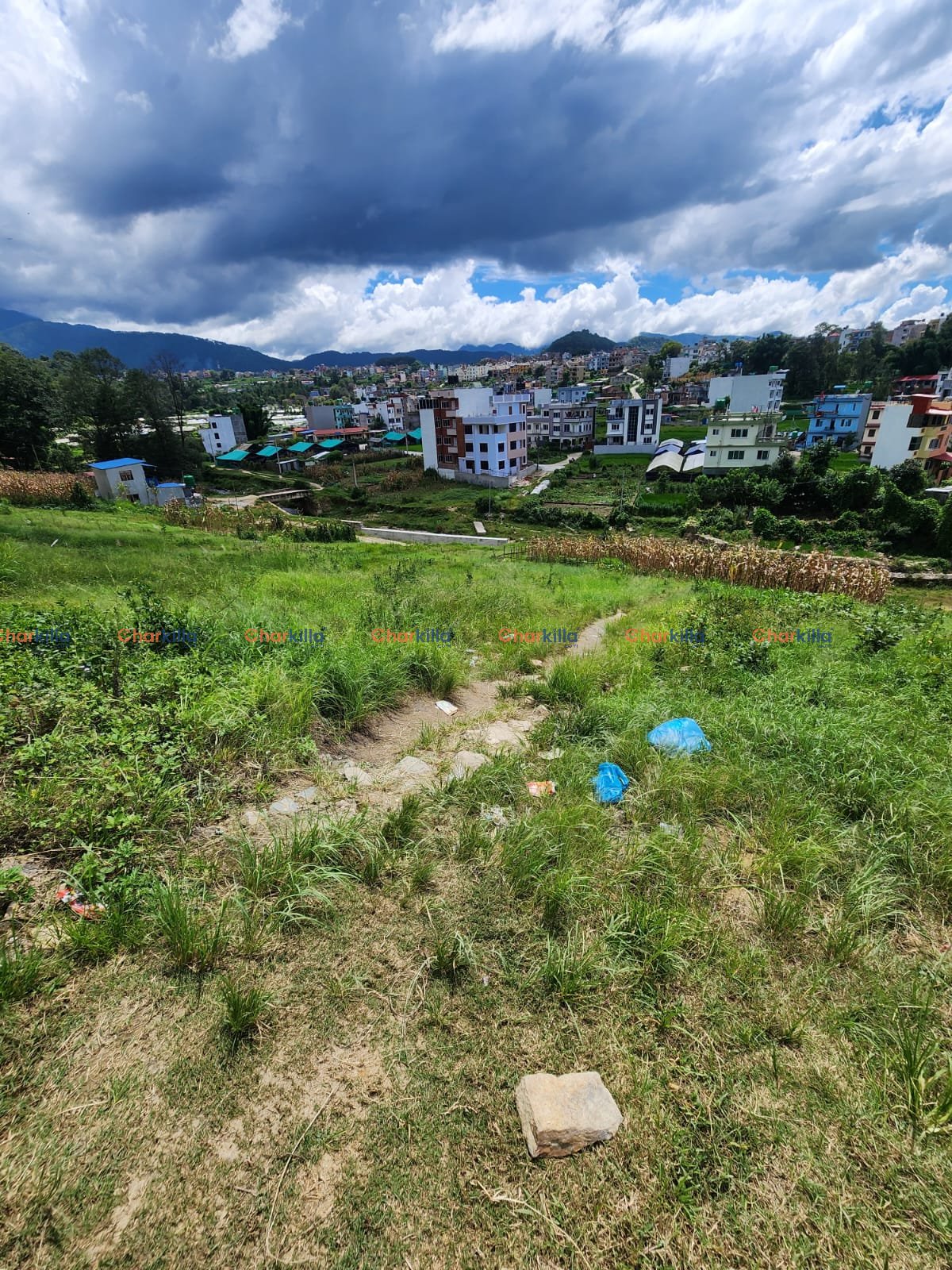 LAND FOR SALE IN DAMAITAR GADAWARI LALITPUR