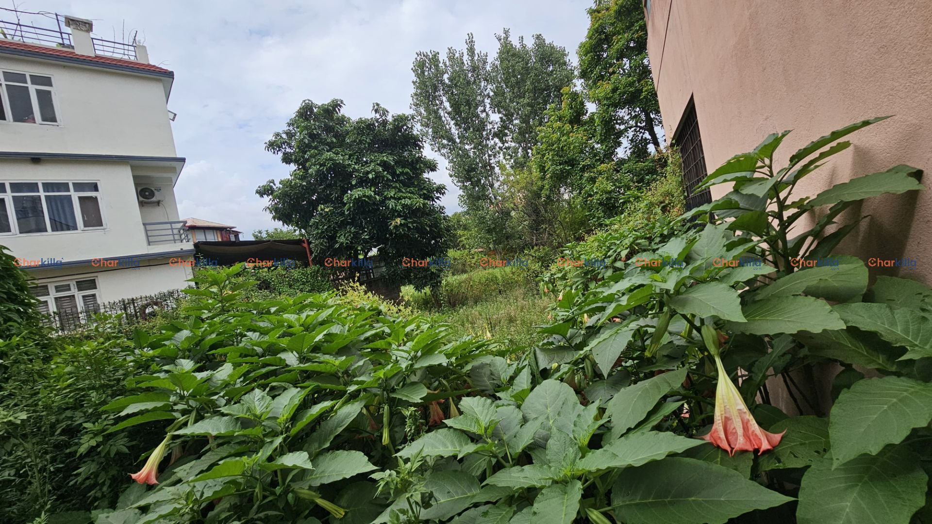 LAND FOR SALE IN DHOBIGHAT LALITPUR