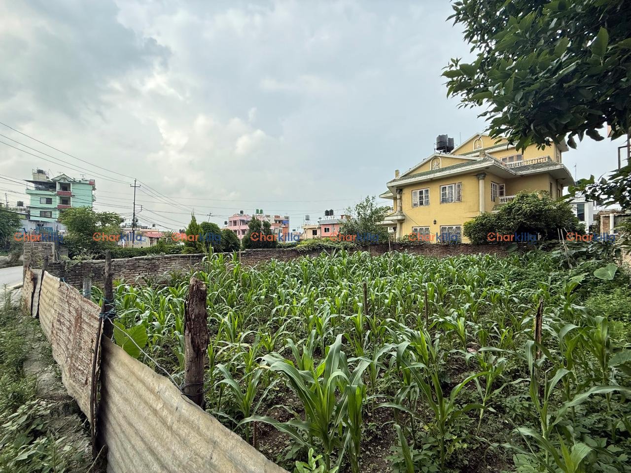 Land For Sale in Bhaisepati Lalitpur