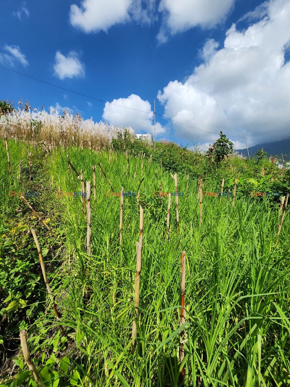 LAND FOR SALE IN KAVRESTHALI TARKESHWOR KATHMANDU