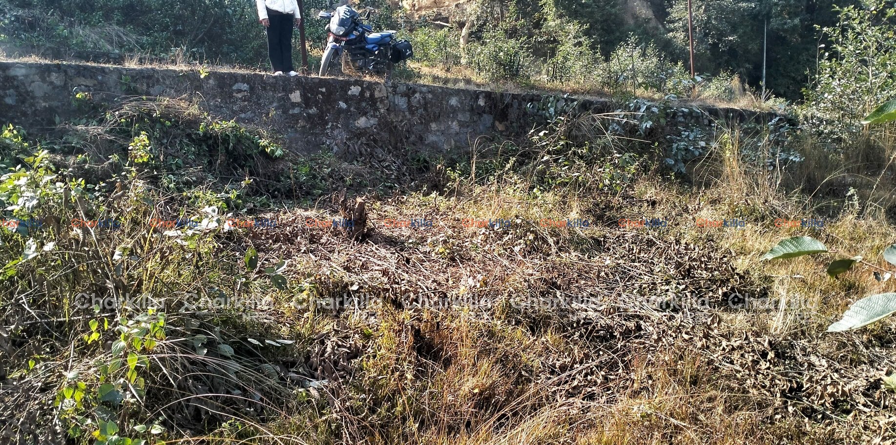 LAND FOR SALE IN GODAWARI