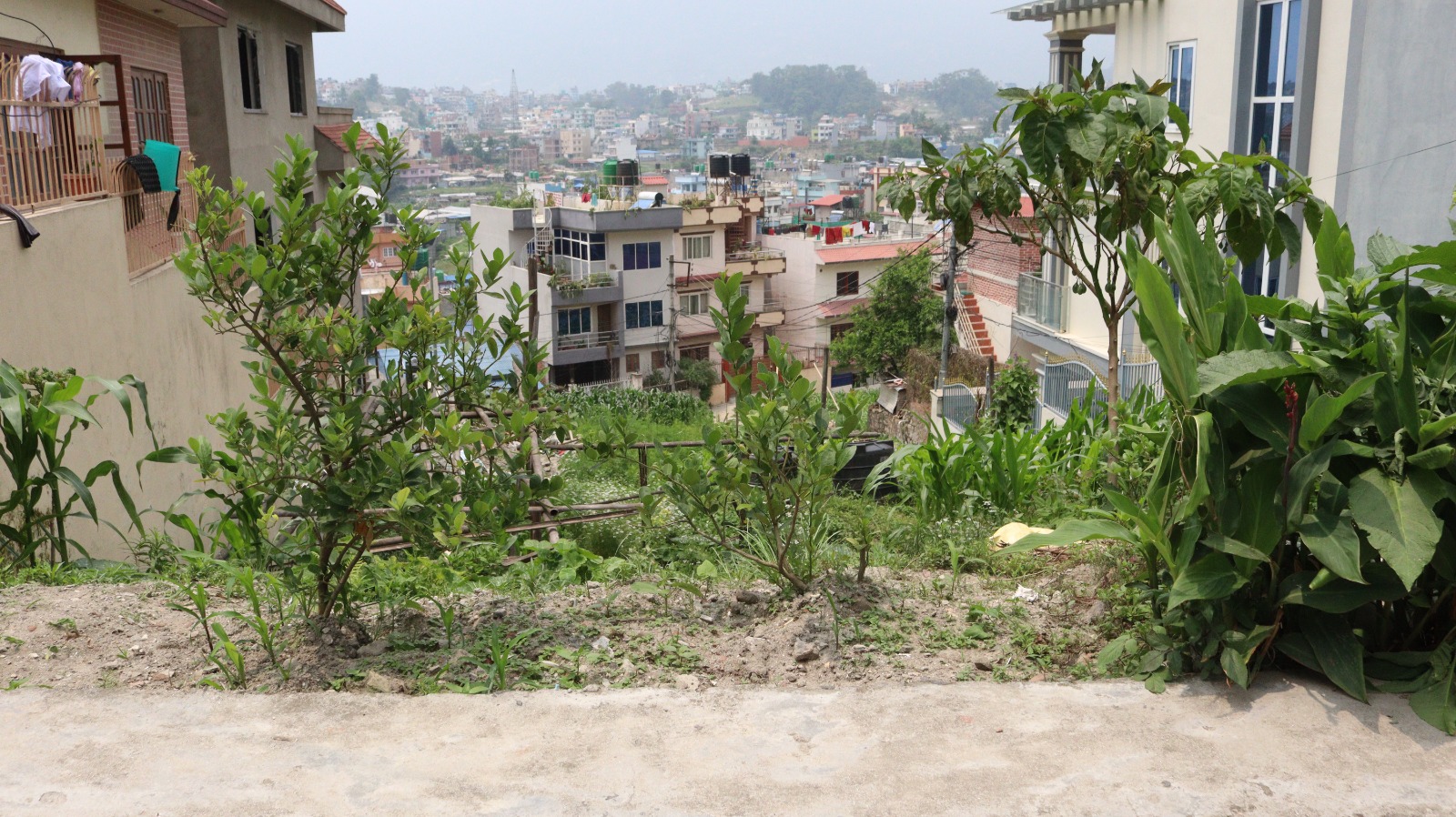 Residential Land for Sale in Hattigauda, Budhanilkantha, Kathmandu
