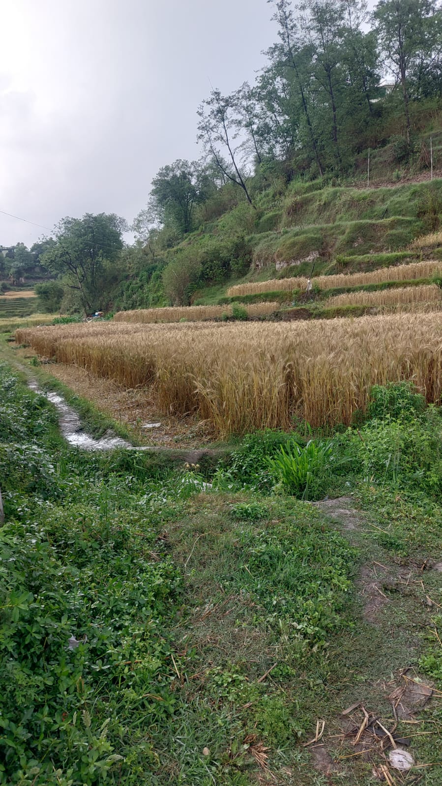 3 Ropani Land for sale in Duwakot, Bhaktapur