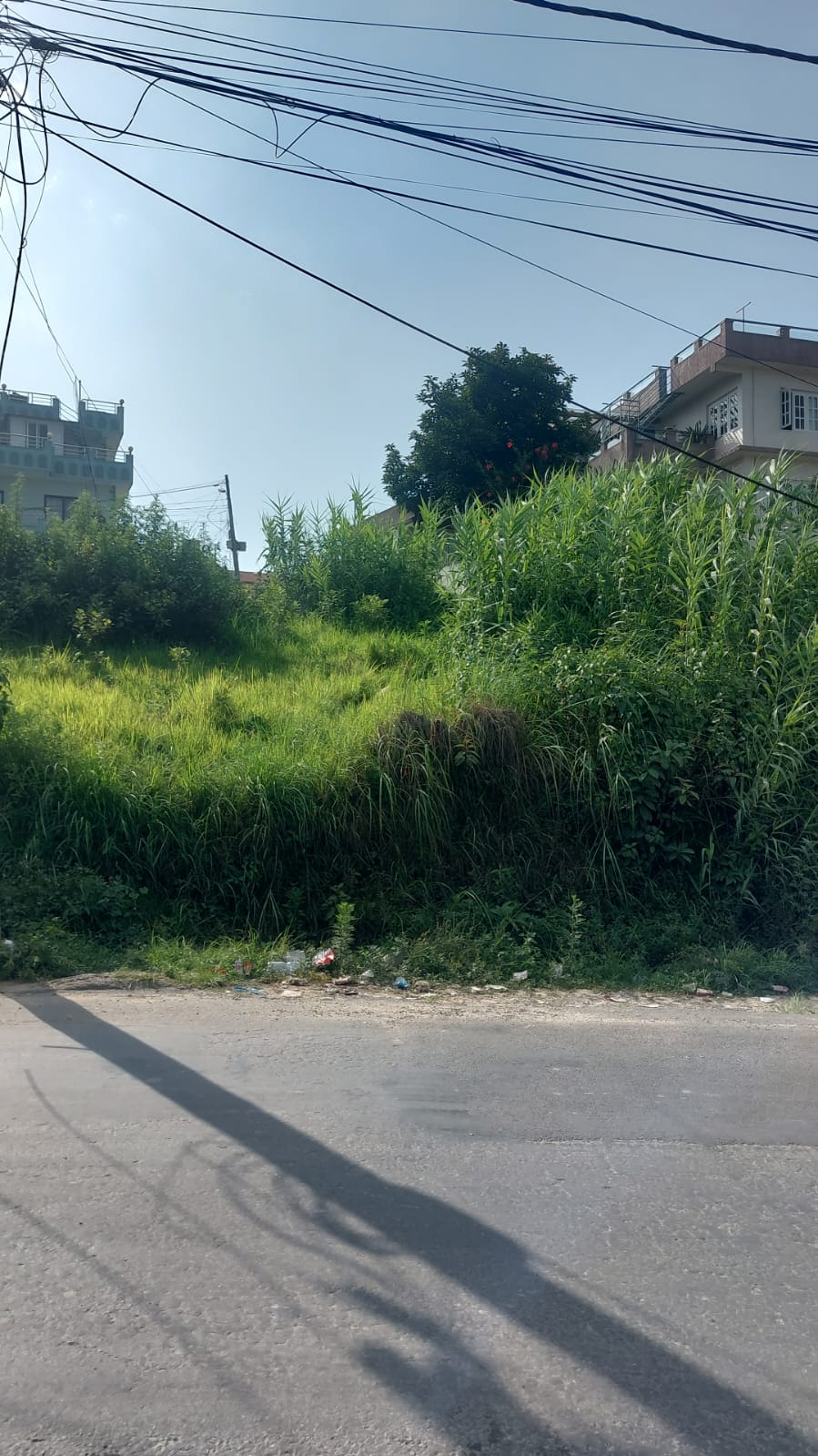 9 Aana Land for Sale in Taudaha, Kirtipur | Main Road Touch Residential Plot