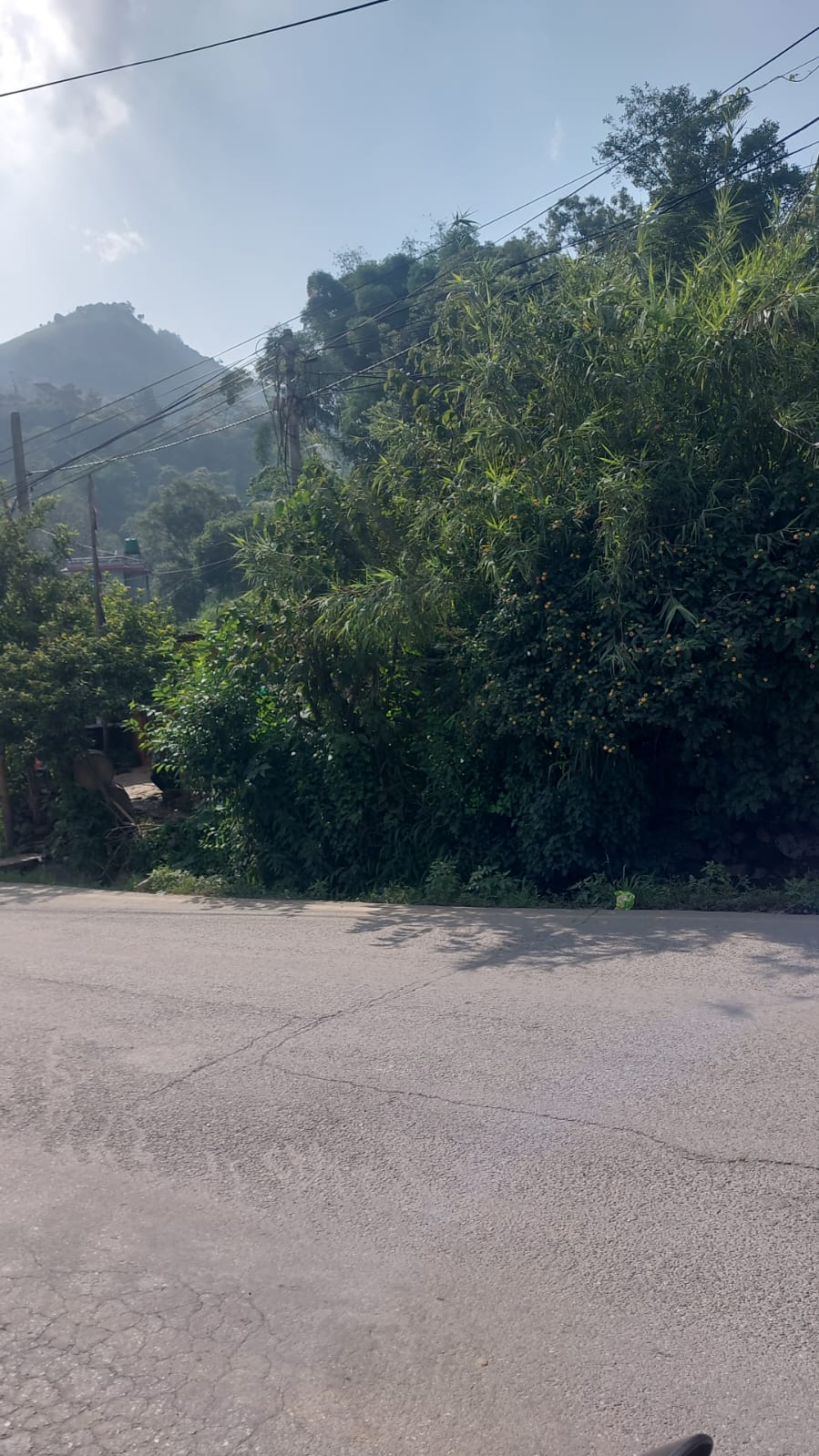 Land for Sale in Taudaha, Kirtipur | 14 Aana Main Road Touch Plot